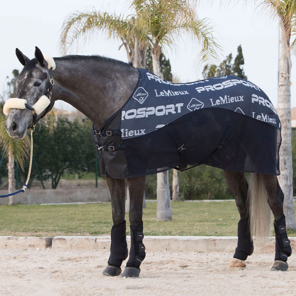 LeMieux Carbon cooler horse rug