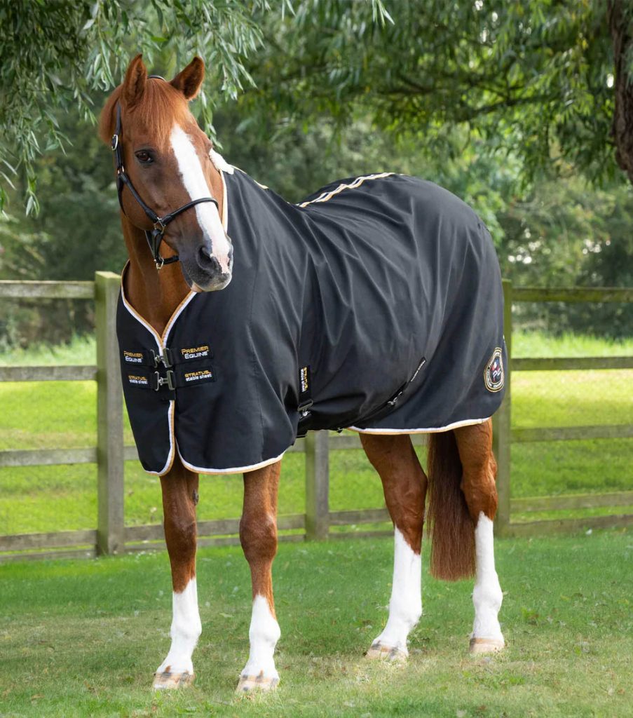 Premier Equine stable rug