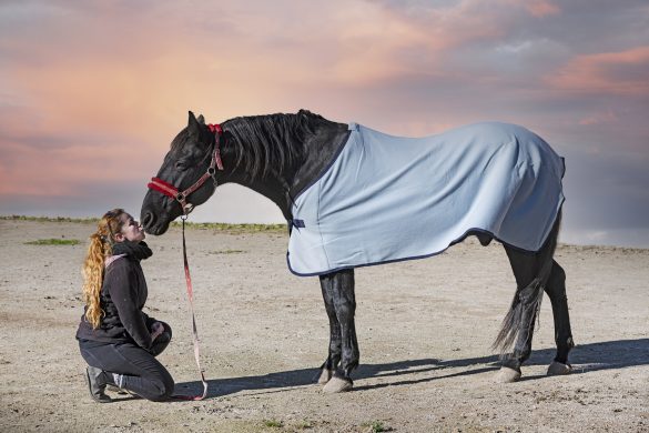 Woman & horse in blanket / rug